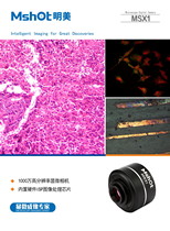 MSX1驅(qū)動軟件