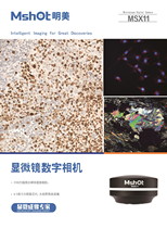 MSX11驅(qū)動軟件