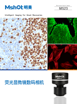 MS23驅(qū)動軟件