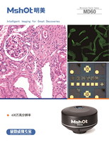 MD60驅(qū)動軟件